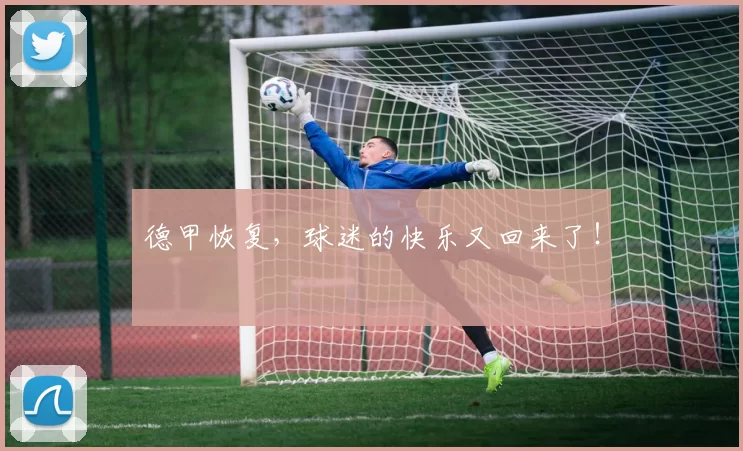 德甲恢复，球迷的快乐又回来了！