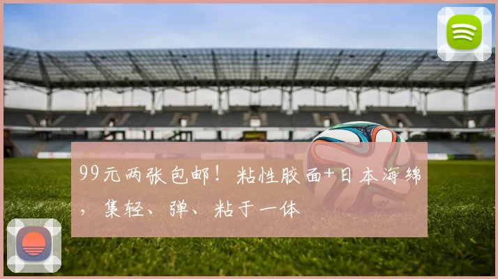 99元两张包邮！粘性胶面+日本海绵，集轻、弹、粘于一体